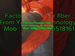 Kleidungsstückfasern Polyester mit mittlerer Krümmung Kunststückfasern